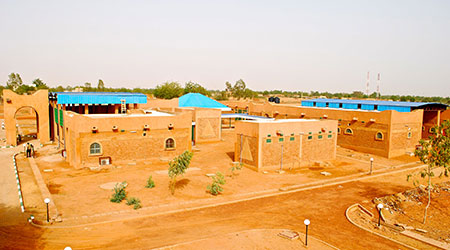 cure-niger-450-300x167